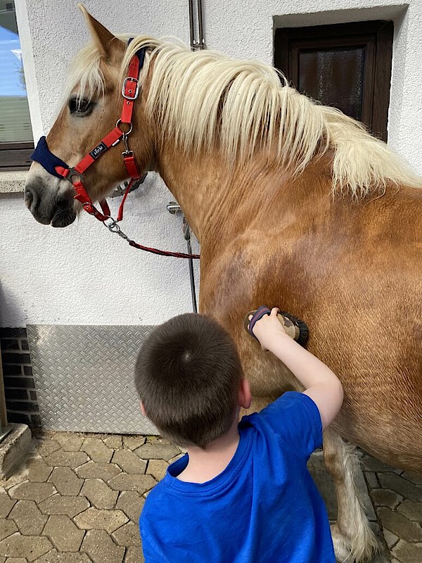 Tiergestützte Therapie – Medium Pferd Westerwald Neuwied Altenkirchen Selters Montabaur Limburg Dierdorf Hachenburg 